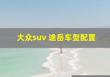 大众suv 途岳车型配置